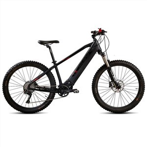 Electric Mountain Bike 4.0 Fat Tire Electric Bicycle Beach