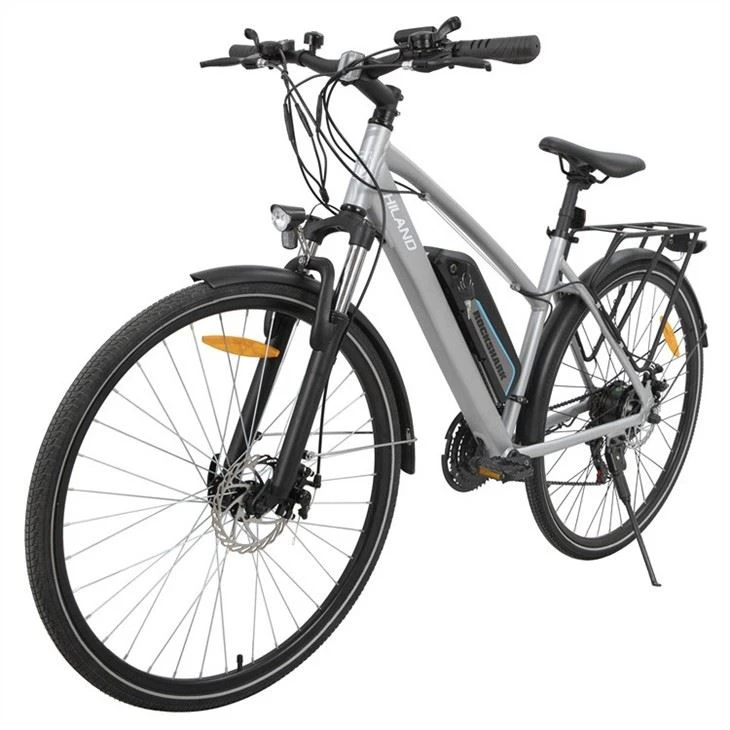 low price Electric City Bike