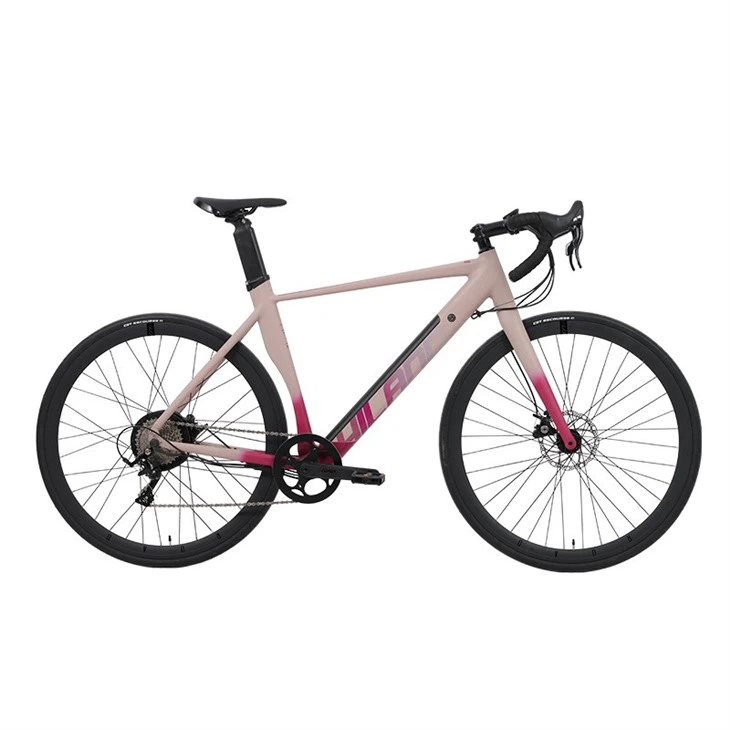 Samsung Battery 700C Alloy Road E-bike