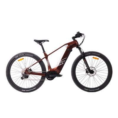 29x2,35'' Mountain E-bike Cycle For Man