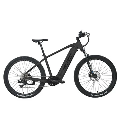 48v 500w Central Motor 10 Speed ​​Mtb E Bike
