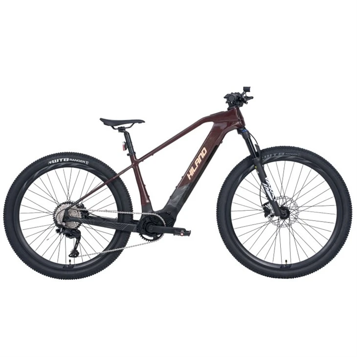 JOYKIE Alloy 27.5 Inch Frame 29 Inch Fork 36v 540wh 9 Speed Double Battery E-BIKE Central Motor Electric Mountain Bike