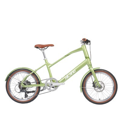 2000w 3000w elektrisk stadscykel